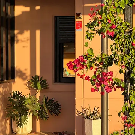 Villa Aloe *